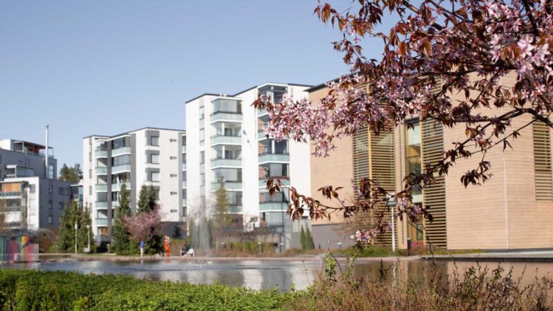 Kerrostalo ja kirsikkapuu Keravan keskustassa