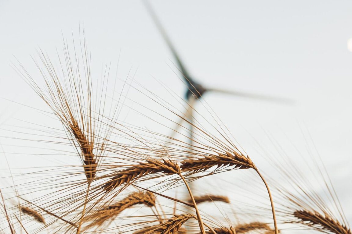 Sähköä luonnonvoimalla