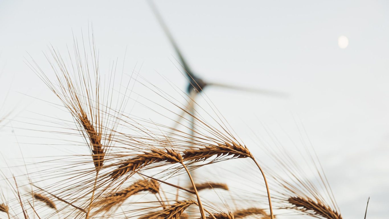 Sähköä luonnonvoimalla