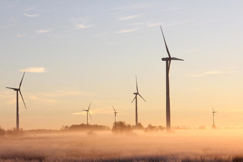 Useita tuulimyllyjä pellolla