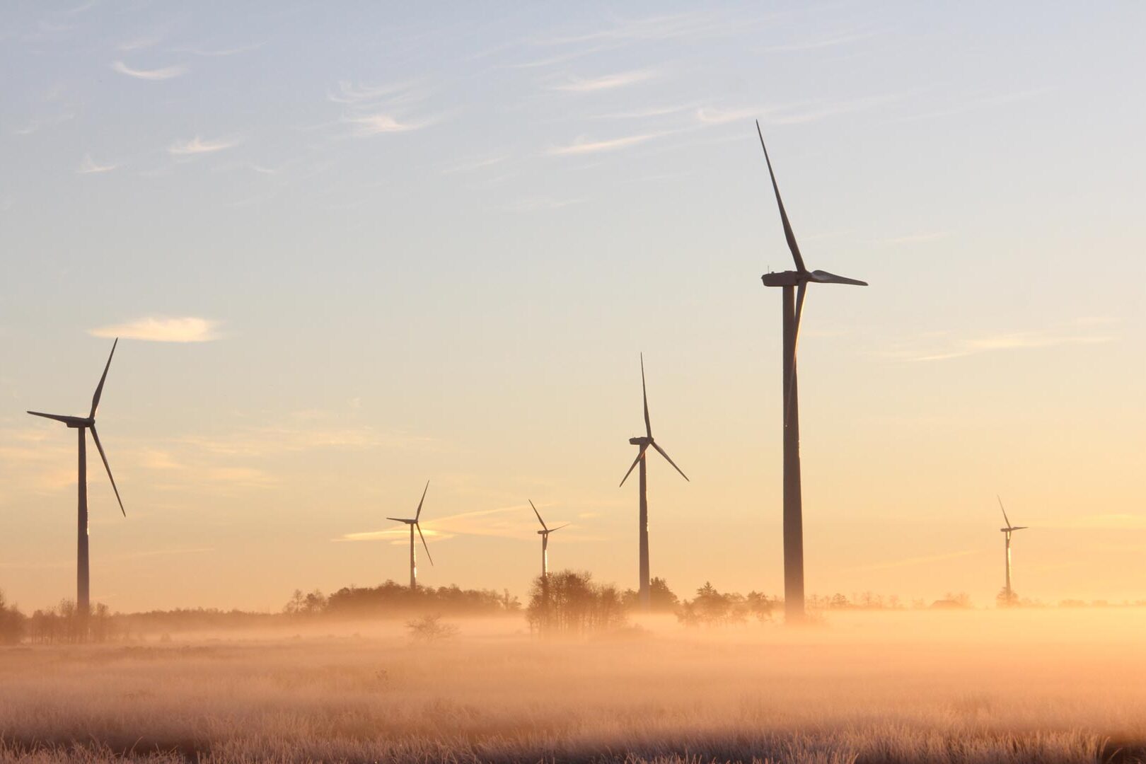 Useita tuulimyllyjä pellolla