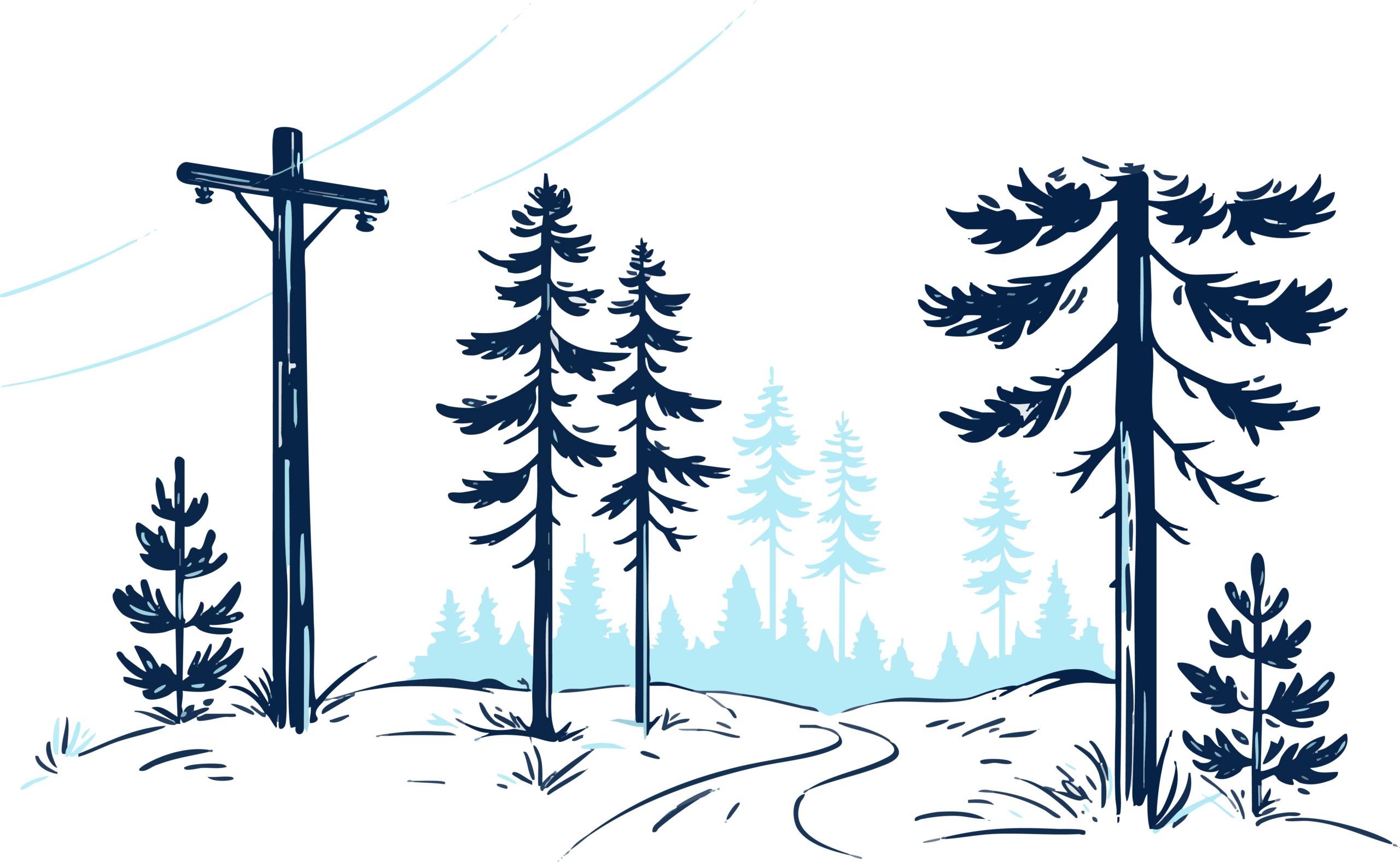 Sähkölinja Sipoon metsissä.