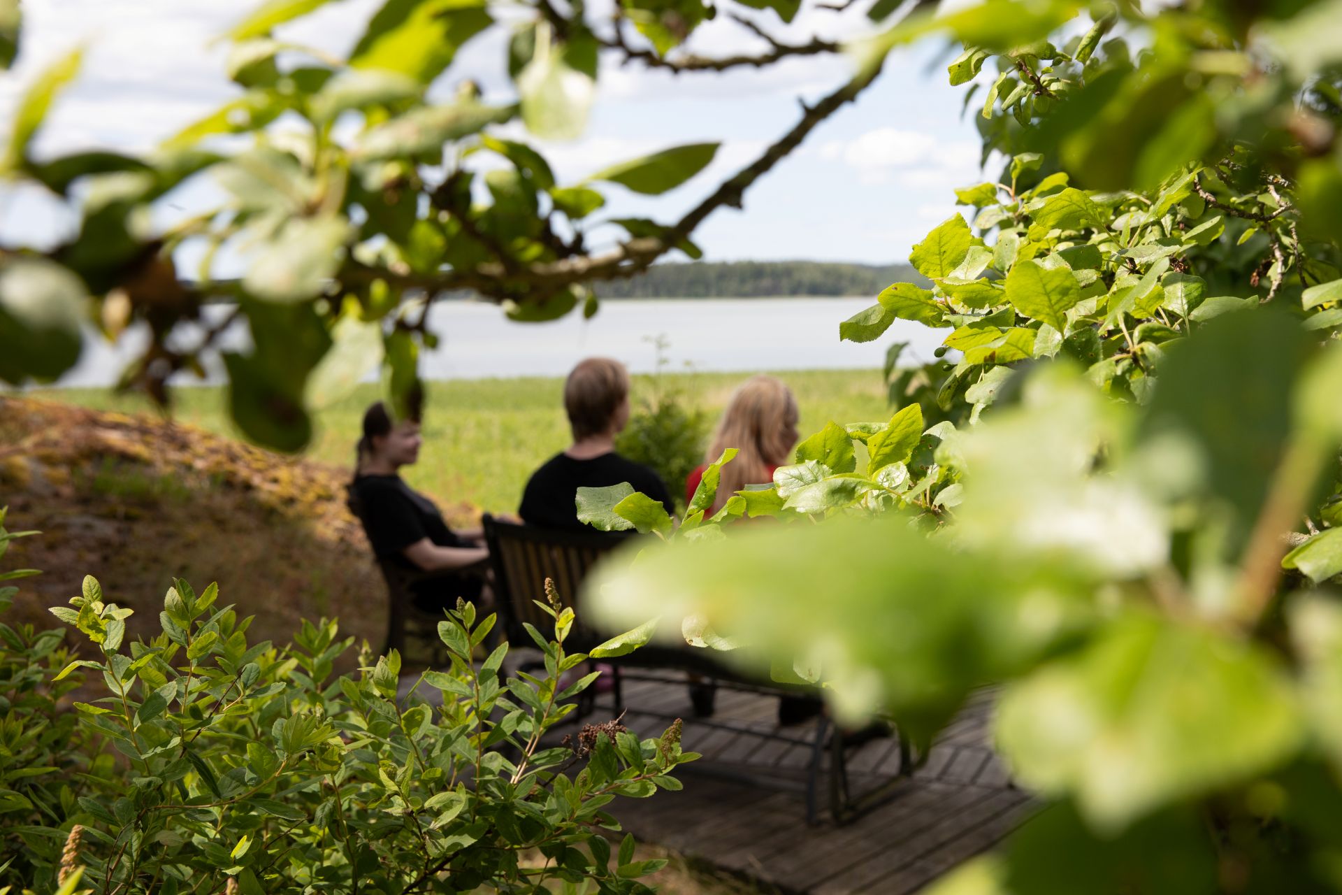 Ihmiset istuvat luonnossa kesällä.