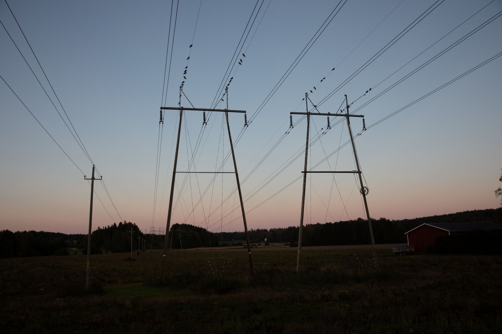 Två elkraftledningar i solnedgången