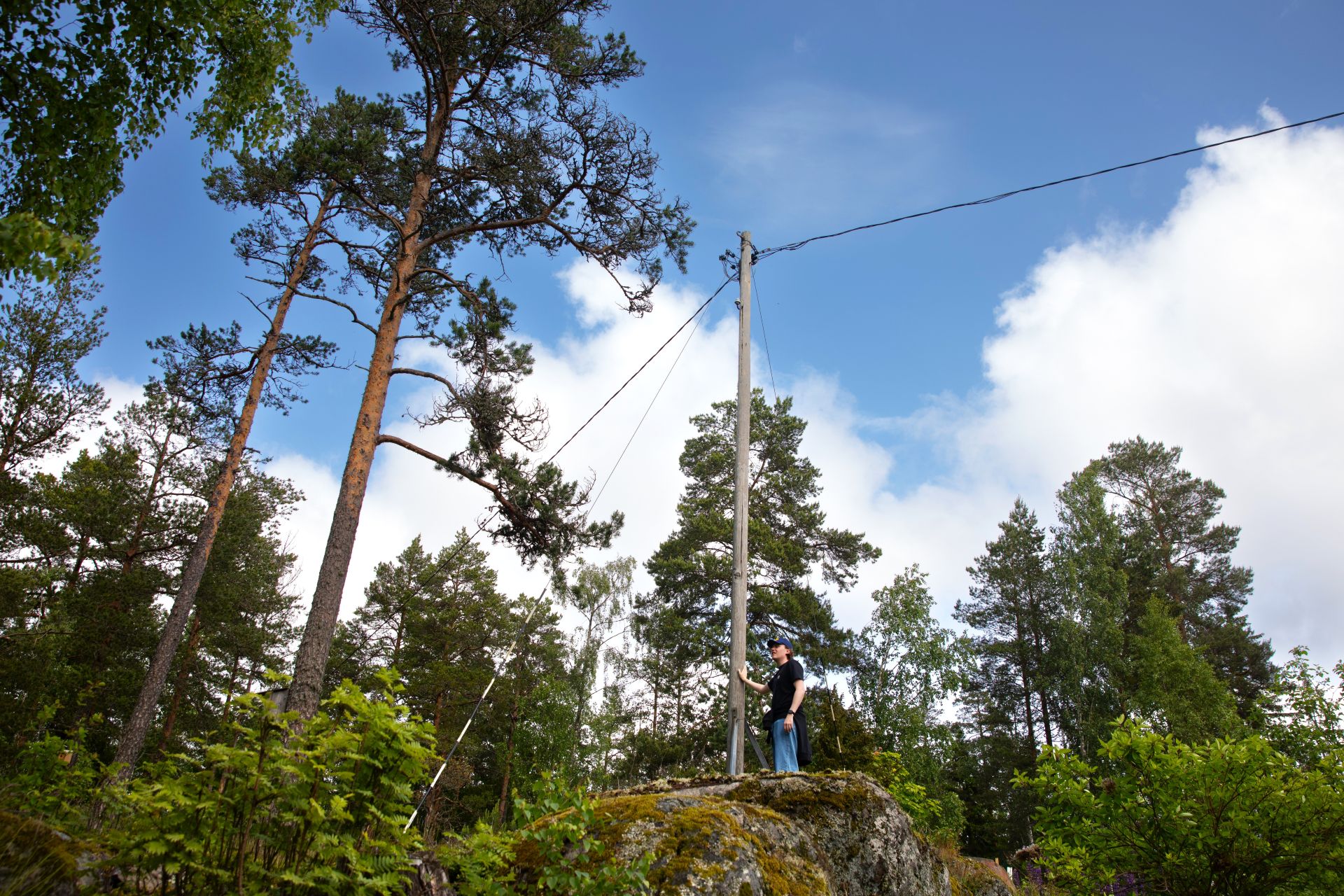 Sähköpylväs metsässä