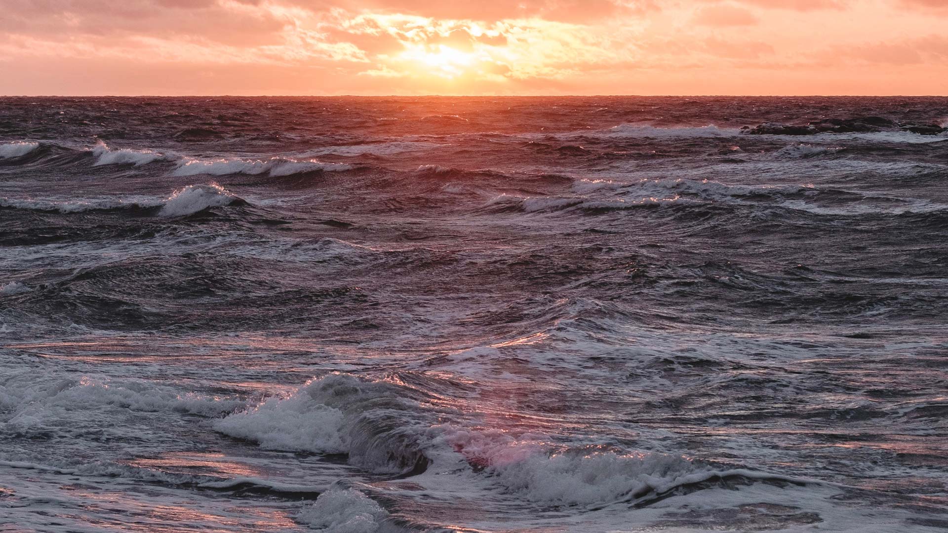 Havet och vågorna i solnedgången.