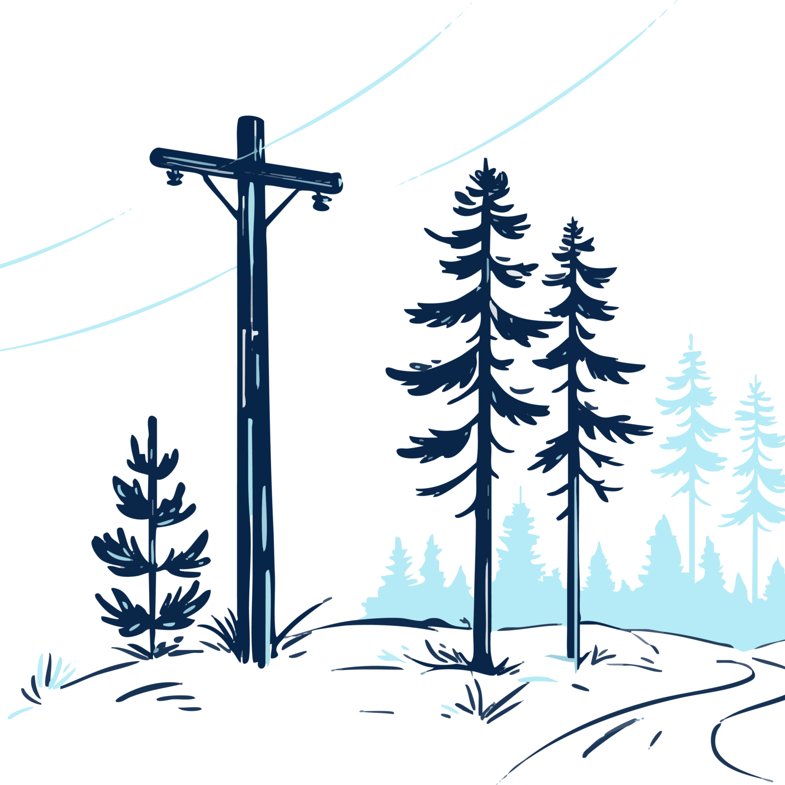 Sähkölinja Sipoon metsissä.